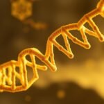 DNA Pisang